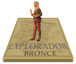 Explorer's Bronze Award