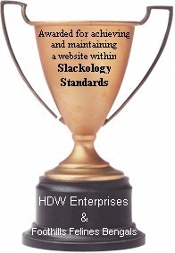 Slacker's Award