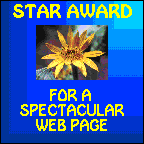 Star Award