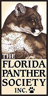Florida Panther Society Inc logo; people trying to protect this endangered panther from extinction