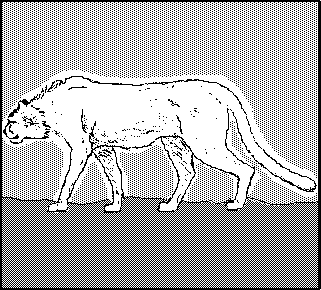 The Giant Cheetah, Acinonyx pardinensis 