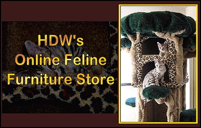 Cat Scratching Posts, Cat Trees, Condos, Custom Play Furniture and MORE - Welcome to HDW's On-Line Feline Furniture Store!