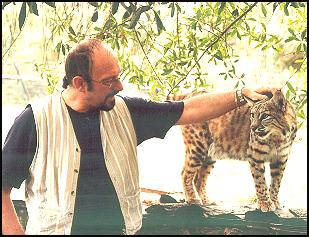 Ian Anderson With a Small Spotted Bobcat or Lynx