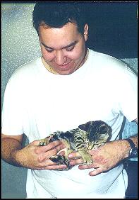 Expect to be nibbled on when holding Bengal kittens for a photo session!