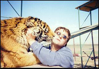 The Majestic Siberian Tiger Giving RTP Founder and President Douglas A. Hertweck a THANK YOU Kiss!