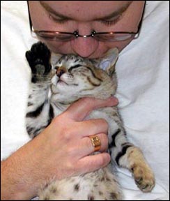 Sandy Spots at 8 weeks old, with Wesley Webber