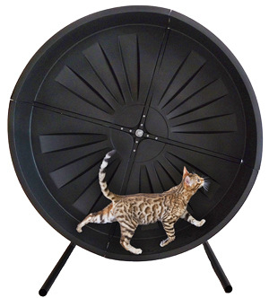 Simply the best made, best priced cat exercise
wheel on the market, the Pet Exercise Wheel, formerly known as the Toy Go Round wheel!