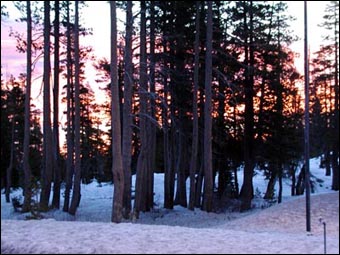 Sunrise in the snow on the way to the TICA show in Reno, NV, with my 2 Bengal girls!