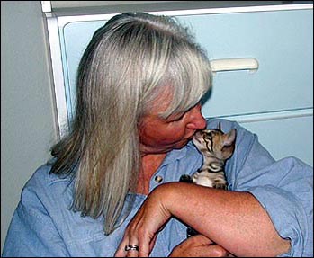 Foothill Felines Max, a gorgeous leopard spotted SBT Bengal male, with his new mommy!