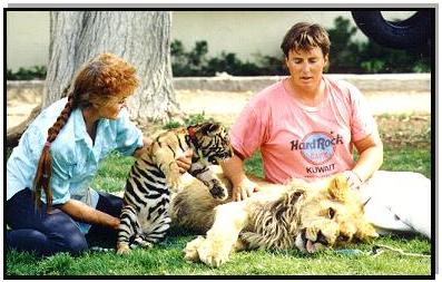 Proud mamas showing off their babies - one is a baby Bengal Tiger cub, Detonator, and the other is a baby lion cub, Rocky!