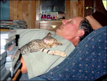 Foothill Felines Max, a gorgeous leopard spotted SBT Bengal male, with his new mommy!