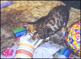 Walter opening his presents from new Grandma!